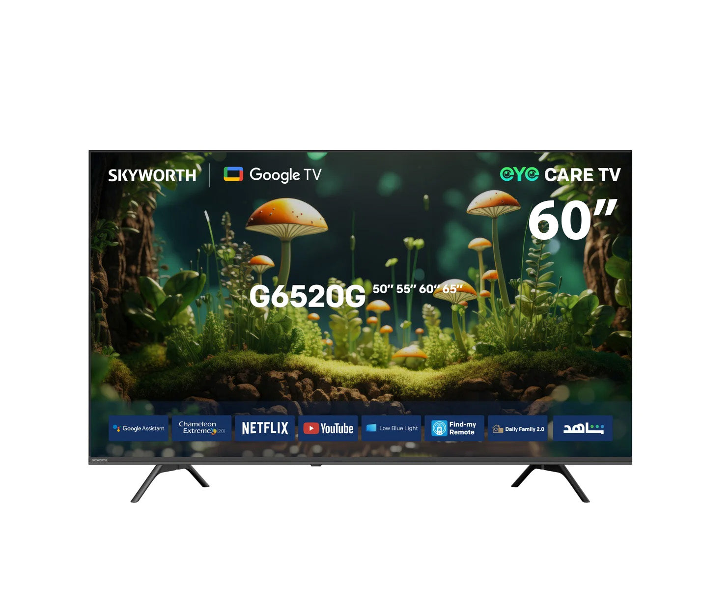 SKYWORTH 60G6520G – 60