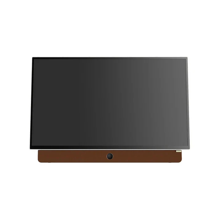 SKYWORTH 24” FHD Smart TV with Battery & Free Carry Case
