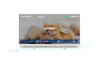 SKYWORTH 32LP70G - 32
